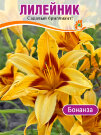 Лилейник Бонанза