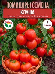 Томат Клуша Томат Клуша
