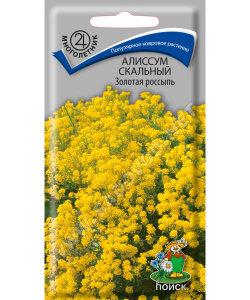 Алиссум Золотая россыпь (скальный)