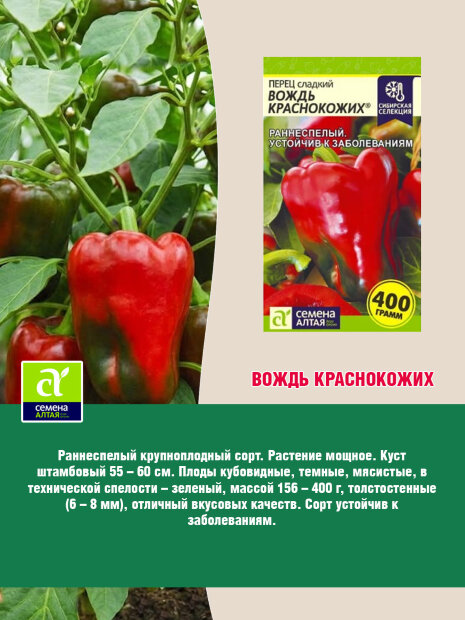 Перец сладкий Вождь краснокожих семена 