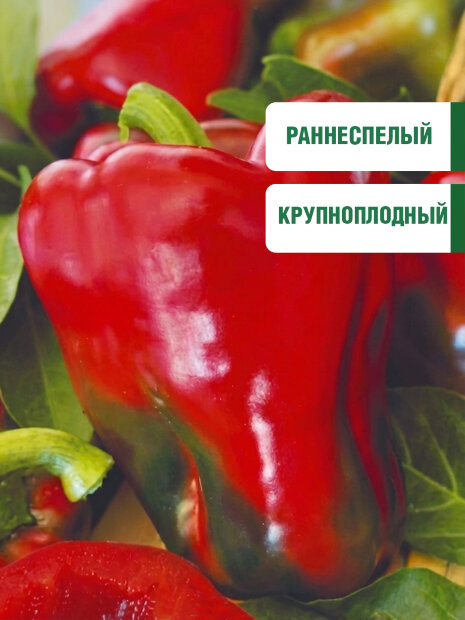 Перец сладкий Вождь краснокожих семена 