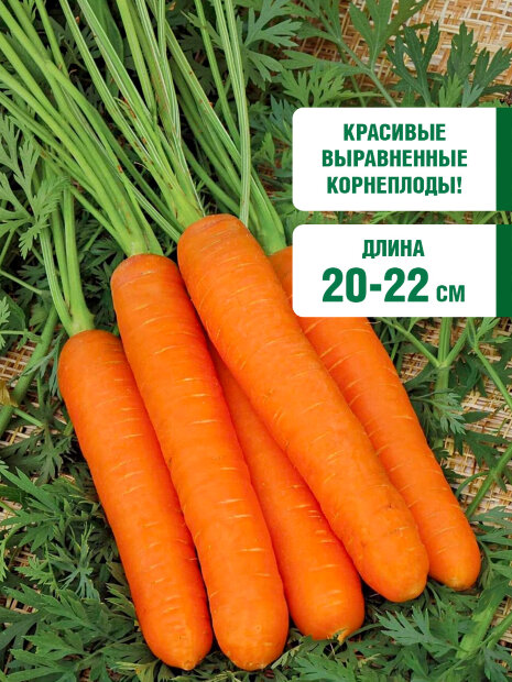 Морковь Самсон семена 