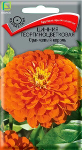 Цинния георгиноцветковая Оранжевый король