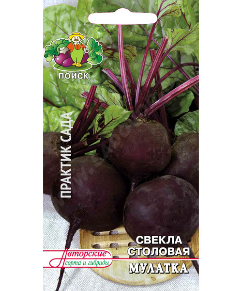 Свекла Мулатка семена 