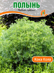 Полынь Кока Кола, древовидная Полынь Кока Кола, древовидная