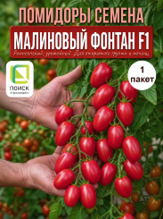 Томат Малиновый Фонтан F1