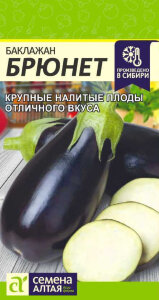 Баклажан Брюнет