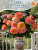 Роза Ла Вилла Котта 