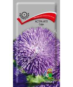Астра Игл Софи