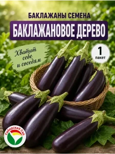 Баклажан Баклажановое дерево