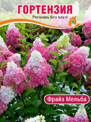 Гортензия Фрайз Мельба Гортензия Фрайз Мельба