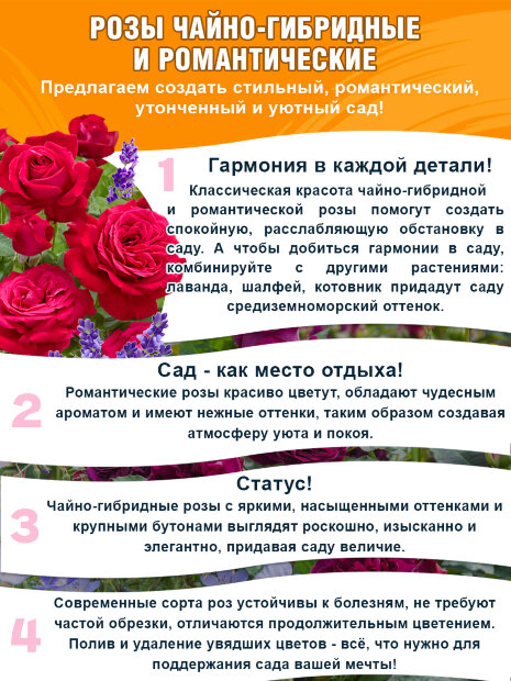 Роза Салманасар