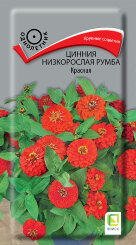 Цинния низкорослая Румба Красная Цинния низкорослая Румба Красная