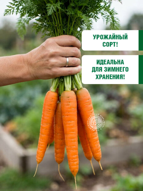 Морковь Витаминная 6 семена 