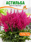 Астильба Юник Руби Ред