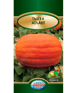 Тыква Атлант (крупноплодная)