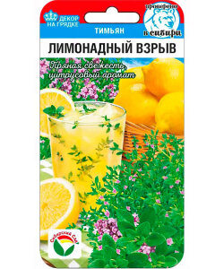 Тимьян Лимонадный взрыв Тимьян Лимонадный взрыв