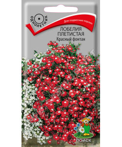 Лобелия Красный фонтан (плетистая)