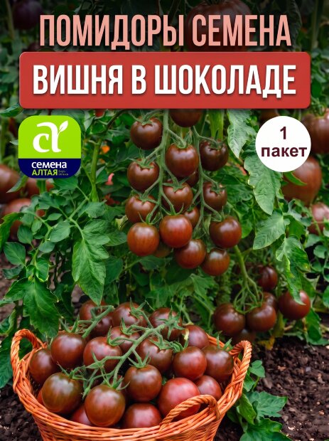 Томат Вишня в Шоколаде семена 