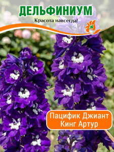Дельфиниум Пацифик Кинг Артур Дельфиниум Пацифик Кинг Артур