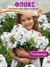 Флокс Рембранд 